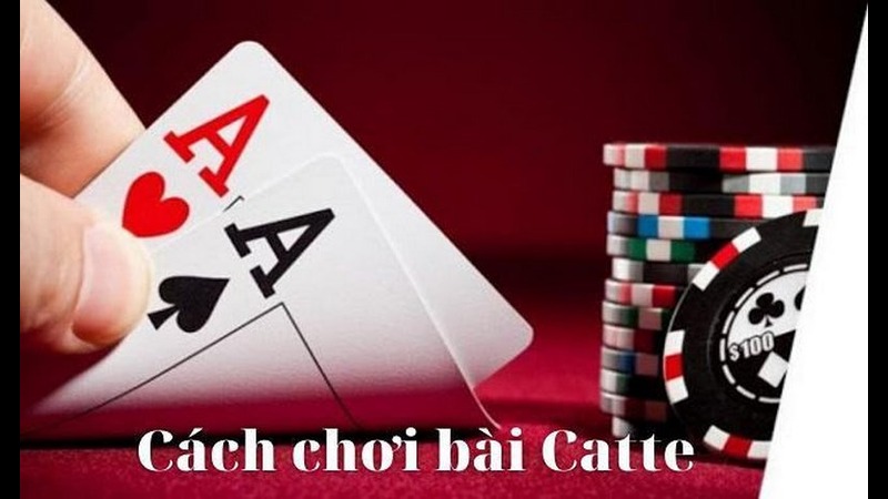 Cách chơi catte go88 chi tiết