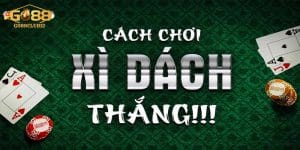 Top cách chơi xì dách luôn thắng